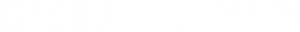 Polk Bros Foundation Logo